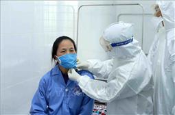 Việt Nam ghi nhận trường hợp nhiễm virus Corona thứ 15